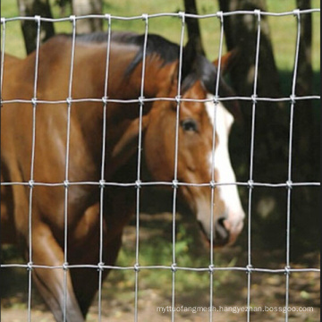 Horse Galvanized Grassland Fence with Low Price